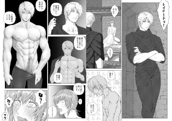 A Knight and Prince's Secret Night