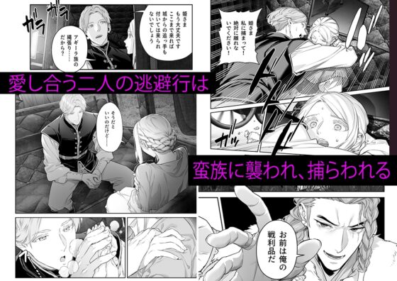 Barbarian's Bride: The Fallen Princess