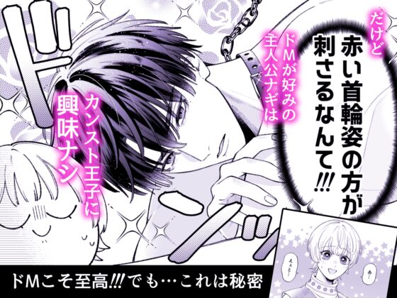 The Maxed-Out Prince Craves the Cold Princess