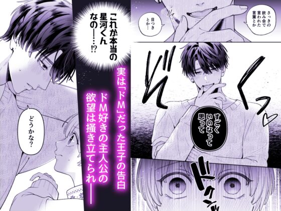 The Maxed-Out Prince Craves the Cold Princess