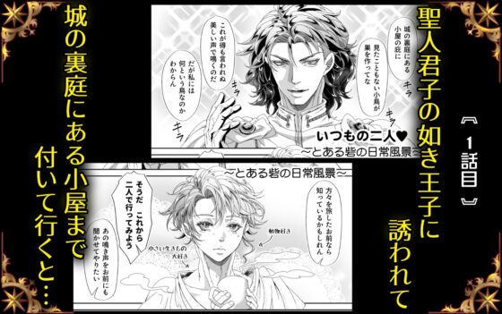 Scoundrel Prince & His Hung Beloved: Debaucherous Days