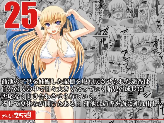 Katashi Bukk Complete [Happy Republic]