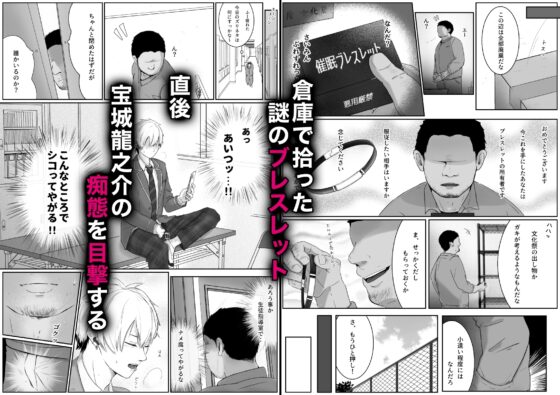Training Diary: Sexual Guidance for a Delinquent