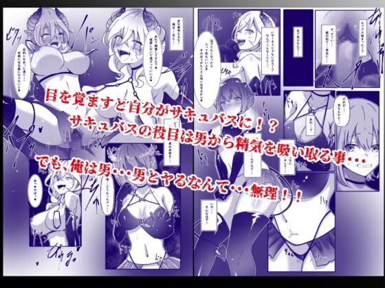 The Day I Became a Succubus: Demon Reincarnation Contract