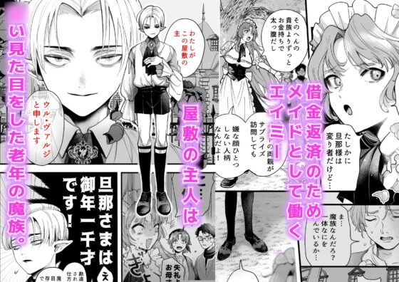 About the Maid Without Human Rights in a Certain Mansion