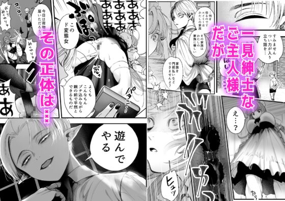 About the Maid Without Human Rights in a Certain Mansion