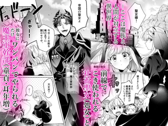 The Demon King's Deputy Wants to Help the Lustful Saint