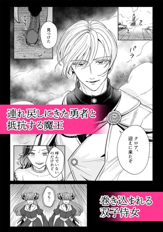 The Demon King is the Hero's Wife, But She Runs Away!