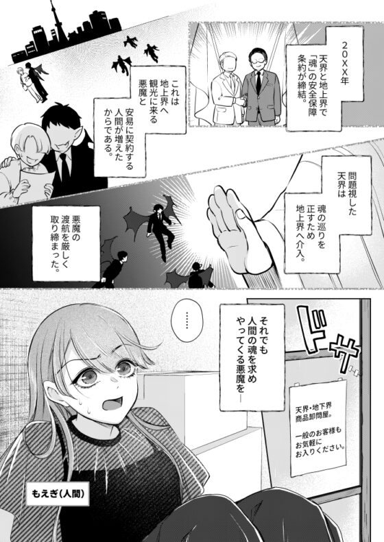 Succubus Countermeasures Are Perfect!?