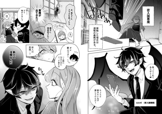 Succubus Countermeasures Are Perfect!?