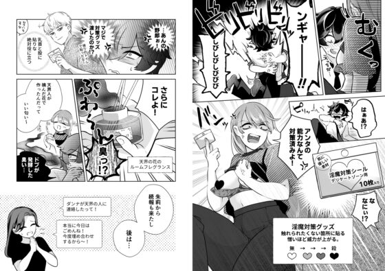 Succubus Countermeasures Are Perfect!?