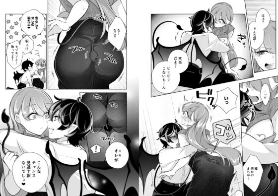 Succubus Countermeasures Are Perfect!?