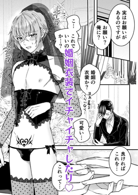 Former Male Knight Becomes the Demon Premier's Pet (3)