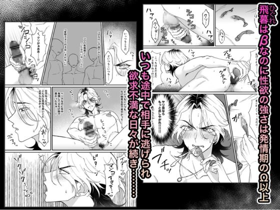 Sorry I'm a Beta in Heat [ぽぽんM]