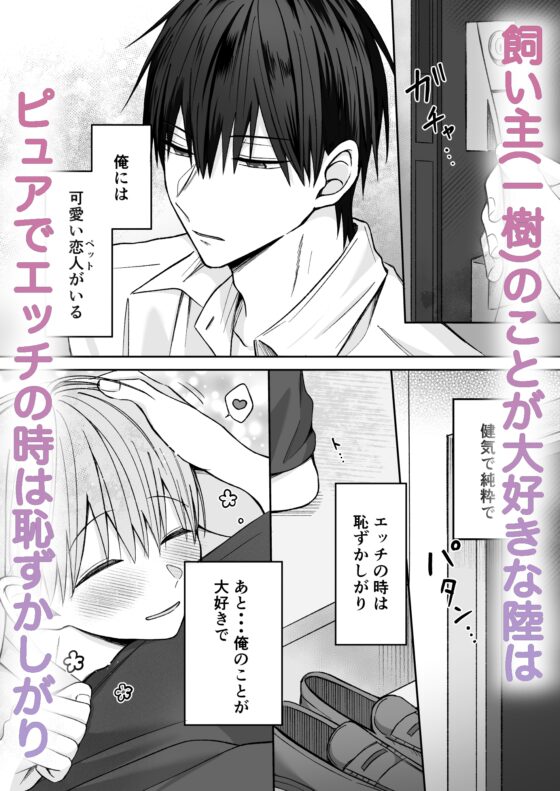 Riku's Heat ~ Sweet Dominant Owner & Dripping Arousal ♡