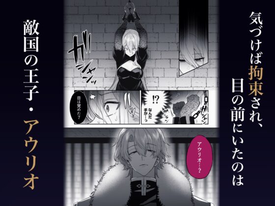 The Princess is Impregnated by the Obsessive Prince