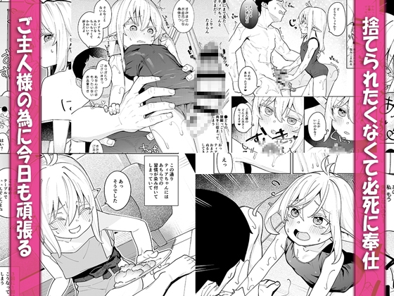 The Story of My Lewd Encounters with the Elf Girl