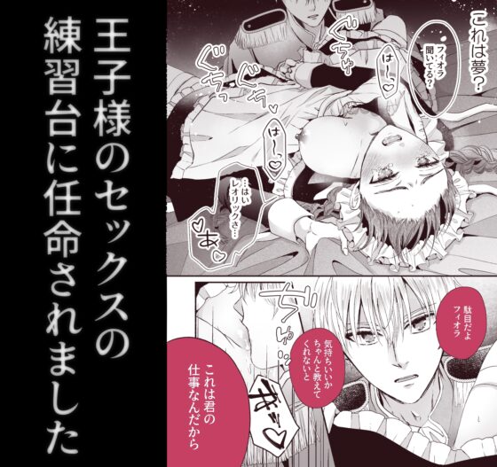 The Prince's Night Companion Never Ends