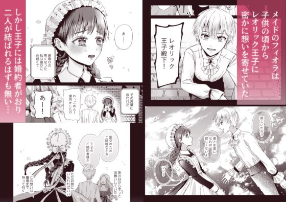 The Prince's Night Companion Never Ends