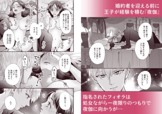 The Prince's Night Companion Never Ends