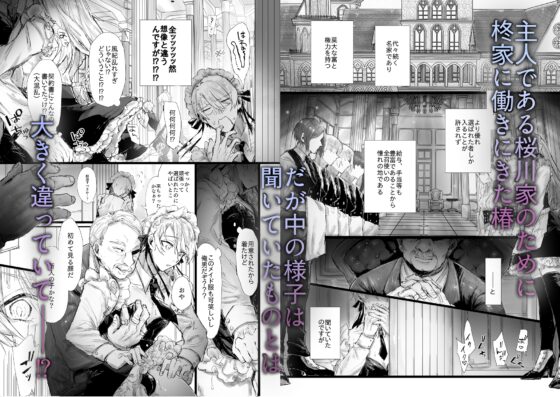 Sexual Service Maid's Work