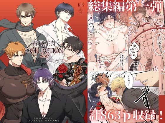Aochouka Collection Vol.1