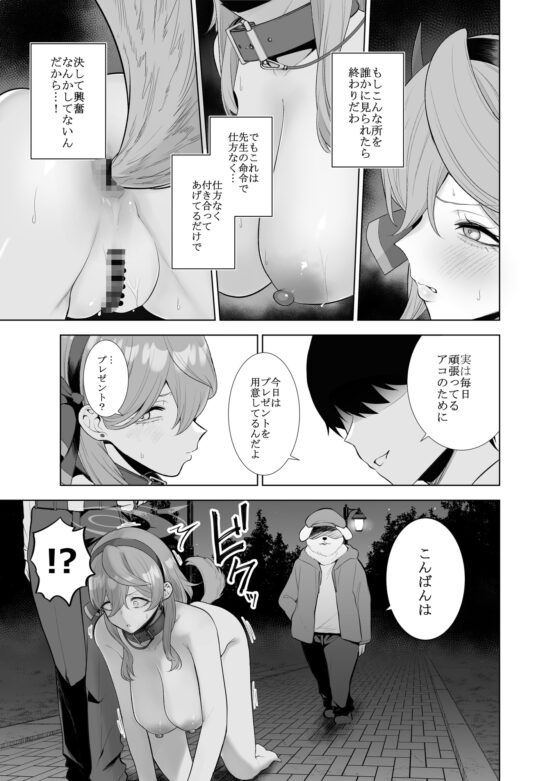 Ako's Walk [Hanekkeri]
