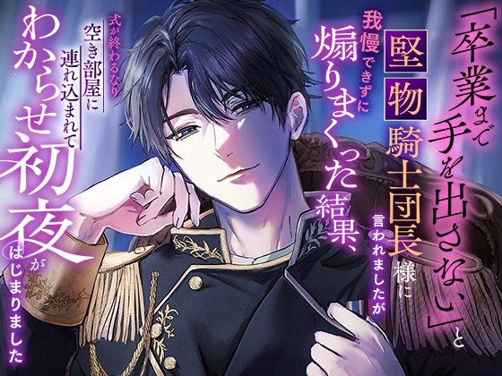 I Can't Wait Until Graduation - A Commanding Knight's First Night