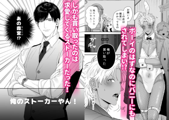 Sexy Bunny Boy: When I Became a Bunny and Got a Love Contract