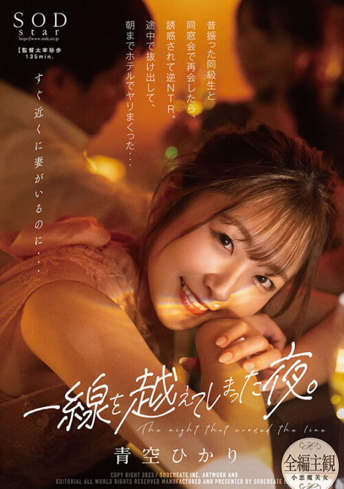 Crossing the Line: Reunion Temptation - Aozora Hikari