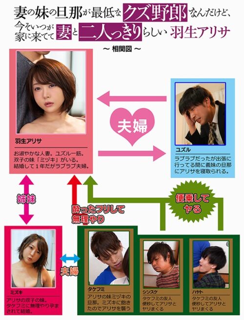 My Wife's Sister's Husband is a Scumbag - Arisa Habu