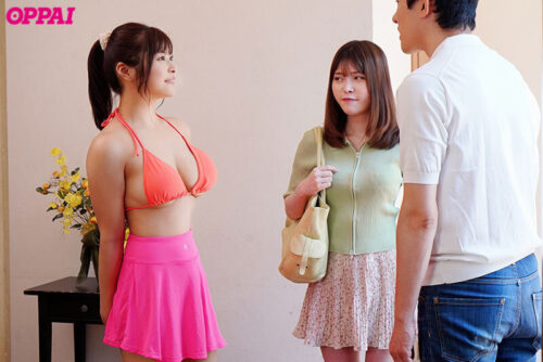 My Girlfriend's Sister Seduces Me With Her Big Breasts and Creampie OK - Hina Nitori