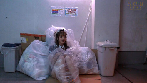 Don't Abandon Me: Cohabitation with AI Love Doll Yuna