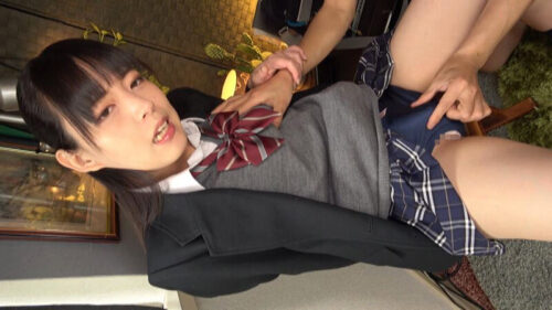 I'm a Cute Femboy Schoolgirl Toilet: Kotori Haruse
