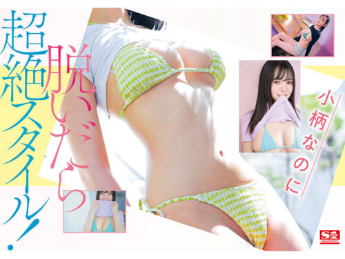 Rookie No.1 STYLE Nozaka Hiyori AV Debut - Hidden Busty in S-Size
