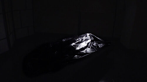 Direct Delivery Body Package: Misaki Oto