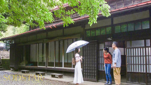 Cousin's Last Days Before Wedding: 2 Days of Unleashed Desire