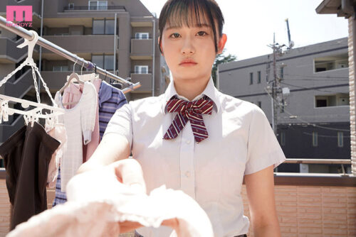 The Perfect Sister: Contemptuous Paizuri from My J-Cup Little Sister Kanna Miki