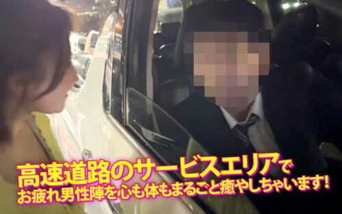 Highway Service Area Car Sex: Therapeutic Encounters