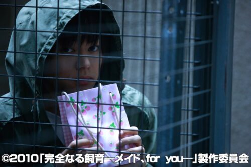 Complete Captivity: Maid, for you