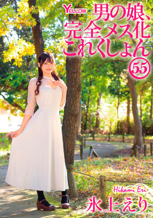 Femboy Complete Feminization Collection 55: Hyogami Eri