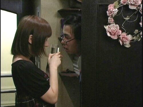 Mizutani Kei's Heisei Widow Lodging House