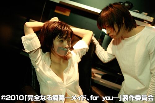 Complete Captivity: Maid, for you