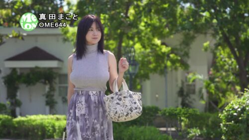 A Chance Encounter with Destiny: Sanada Makoto