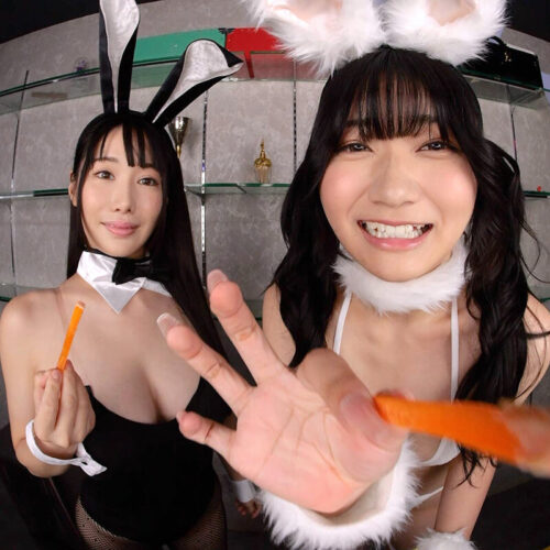 [VR] Popular Prime Dinner in SWEET DREAMS with Ayatsuki Mike & Ane Horiko