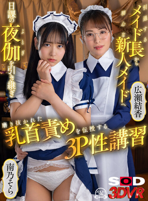 VR: Inheriting Night Service from Retiring Head Maid to Innocent Newcomer - 3P Sex Training