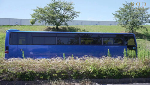 Trapped 7 Hours on a Highway Bus: Whispered Seduction from the Woman Next Door