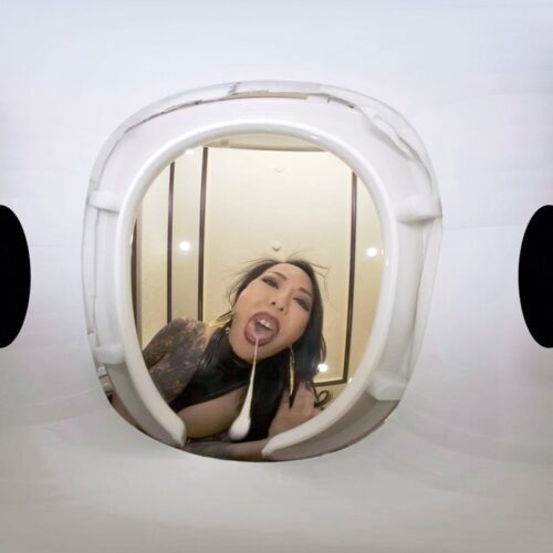 【VR】【High-Quality VR】Human Toilet Club: Queen Youko