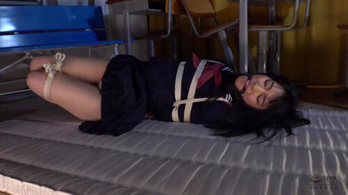 Restrained in Clothes: Captive and Humiliated - Tsubame Amei