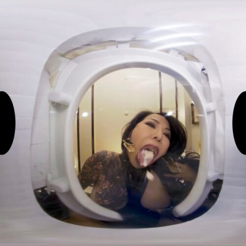 【VR】【High-Quality VR】Human Toilet Club: Queen Youko